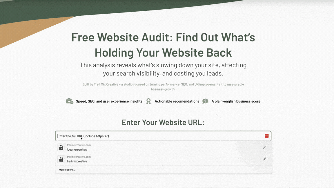 Trail Mix Creative Website Audit Tool for Business Demo